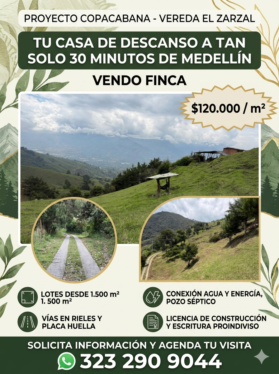 Entrada sin título 436